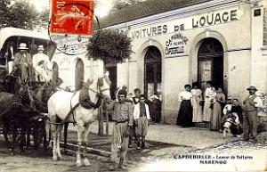 2907- Marengo - Loueur de Voitures